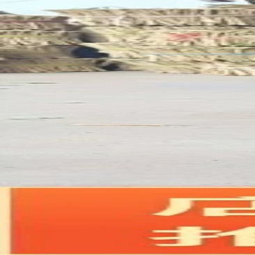 【茉莉花】四川茉莉枝成活率高提供技术知道对接全国欢迎来电