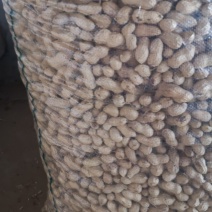 大量出售花育精选果，手选果，食品用果，量大从优，来电优惠