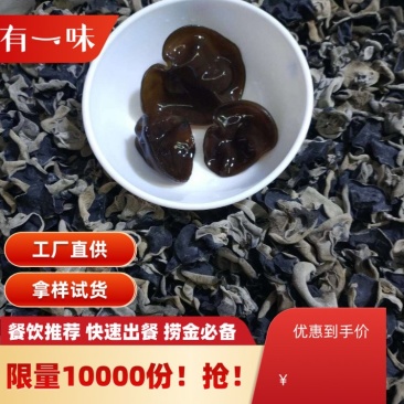 东北秋木耳今年新货产地直销长白山