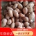云南精品土豆大量上市规格齐全品质保障欢迎咨询