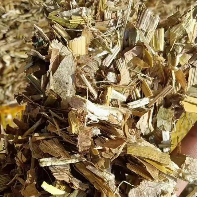 【推荐】青储玉米秸秆厂家供应牛羊马食用植物饲料全国发货