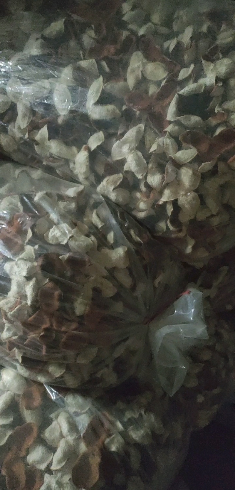 陈皮新货上市