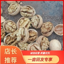 【精选】新疆纸皮核桃，一手货源，对接市场电商供应