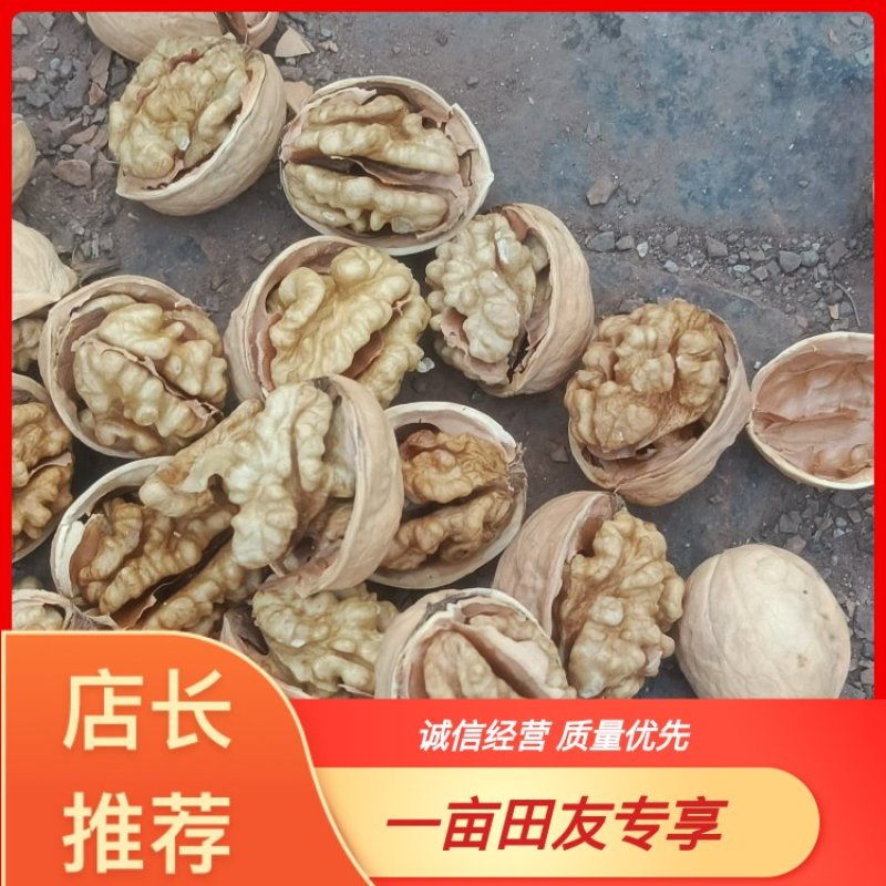 【精选】新疆纸皮核桃，一手货源，对接市场电商供应