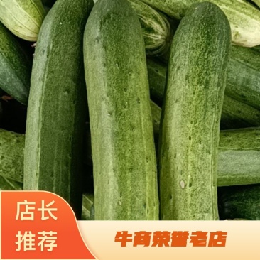 燕青黄瓜不瑟口，产地直发货源充足，品质保证欢迎来电