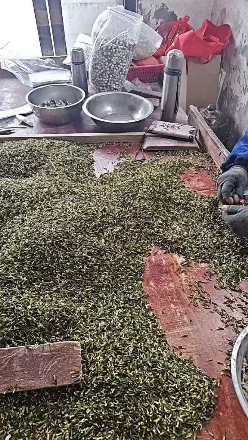 莲子手工莲子心边莲子心一根根的颜色漂亮，机器开边莲子心