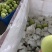王林苹果糖度高礼盒装黑框超市款。社区团购代发