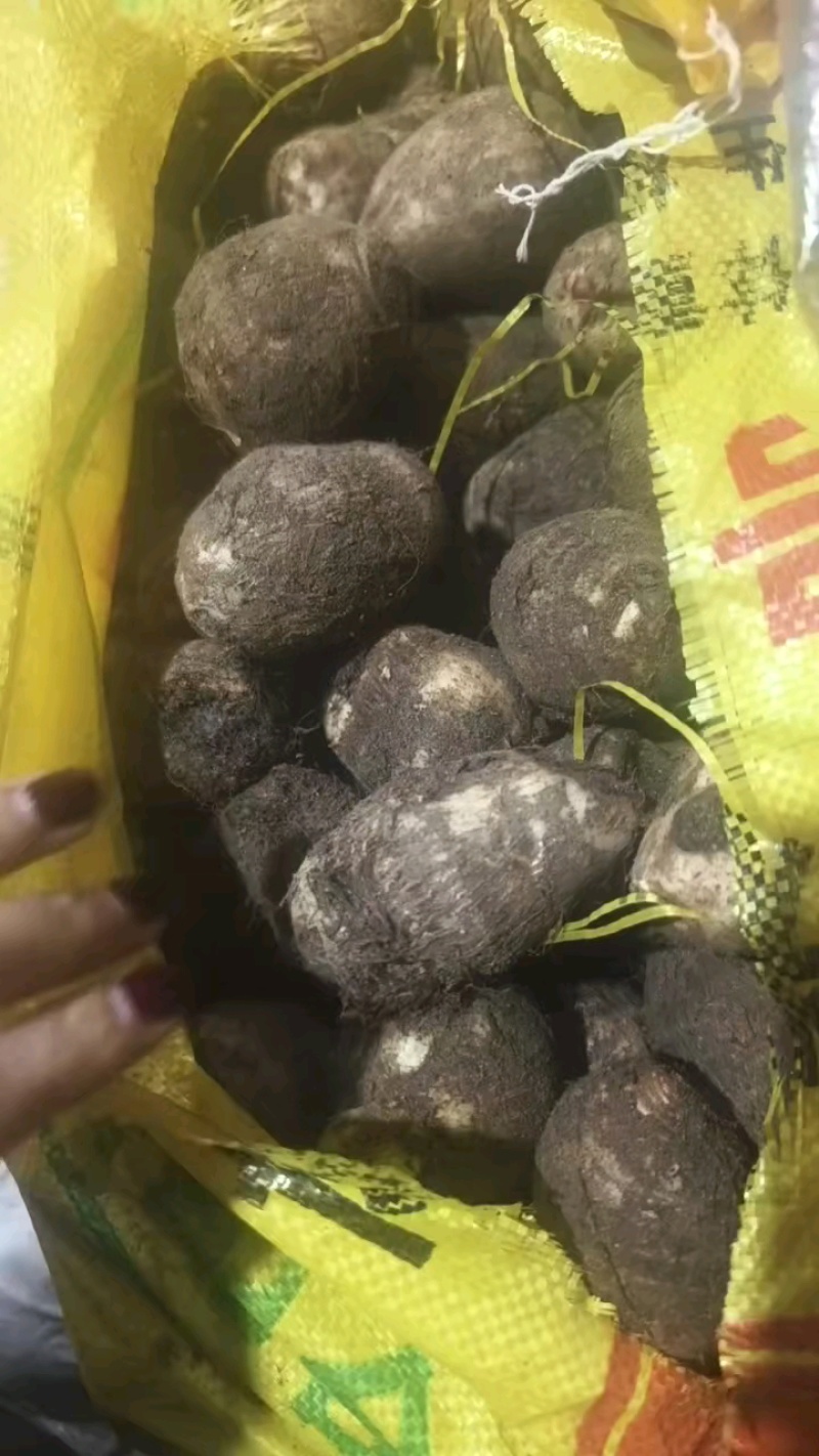 奶油毛芋头，货源充足，全国发货。坏烂包赔