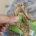 猪肉条猪肉片麻辣五香味一小包5斤一件20斤可混装
