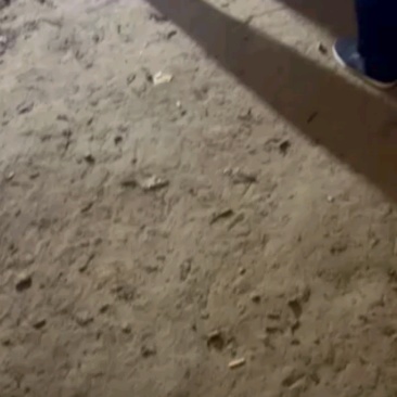 河北西瓜红红薯，好货充足，抓紧来购！