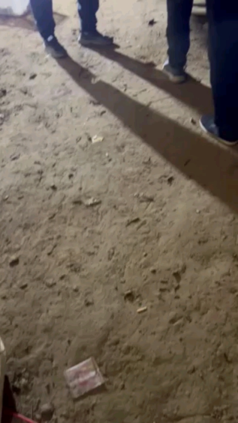 河北西瓜红红薯，好货充足，抓紧来购！