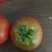 硬粉西红柿大红西红柿水果番茄普鲁旺斯草莓柿子诚信合作