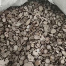 白芍过4到5个筛产地大货祥泰药材栈中药材批发零售实物拍