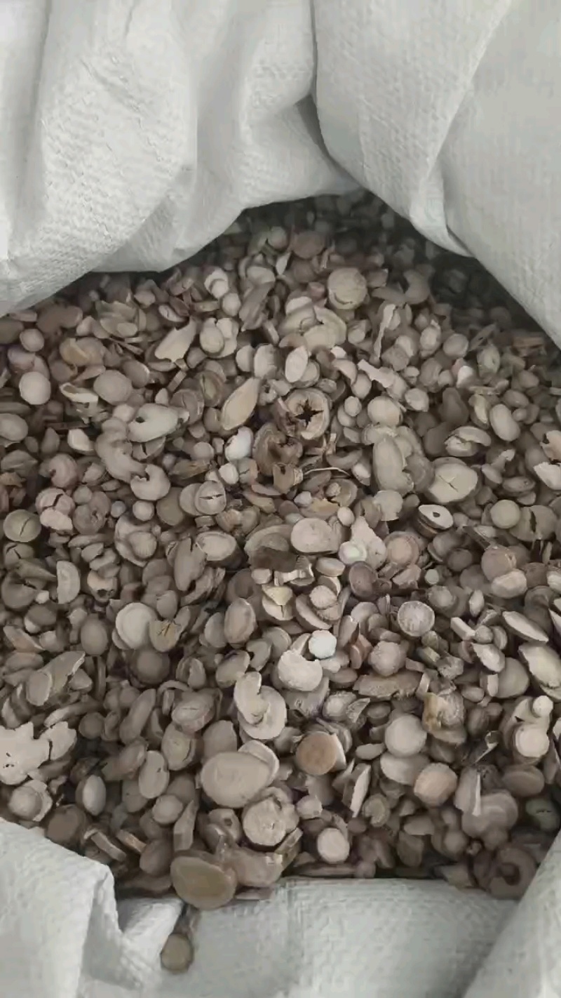 白芍过4到5个筛产地大货祥泰药材栈中药材批发零售实物拍