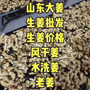 水洗烘干姜加工中，有货可联系