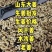 水洗烘干姜加工中，有货可联系