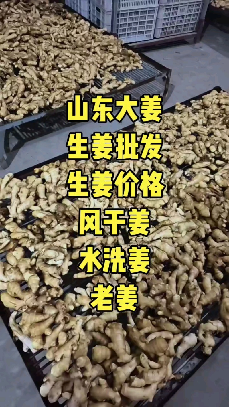 水洗烘干姜加工中，有货可联系