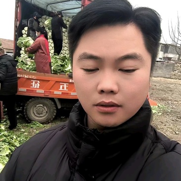 黄心大白菜，大量上市，价格不高，包质量，需要的老板联系
