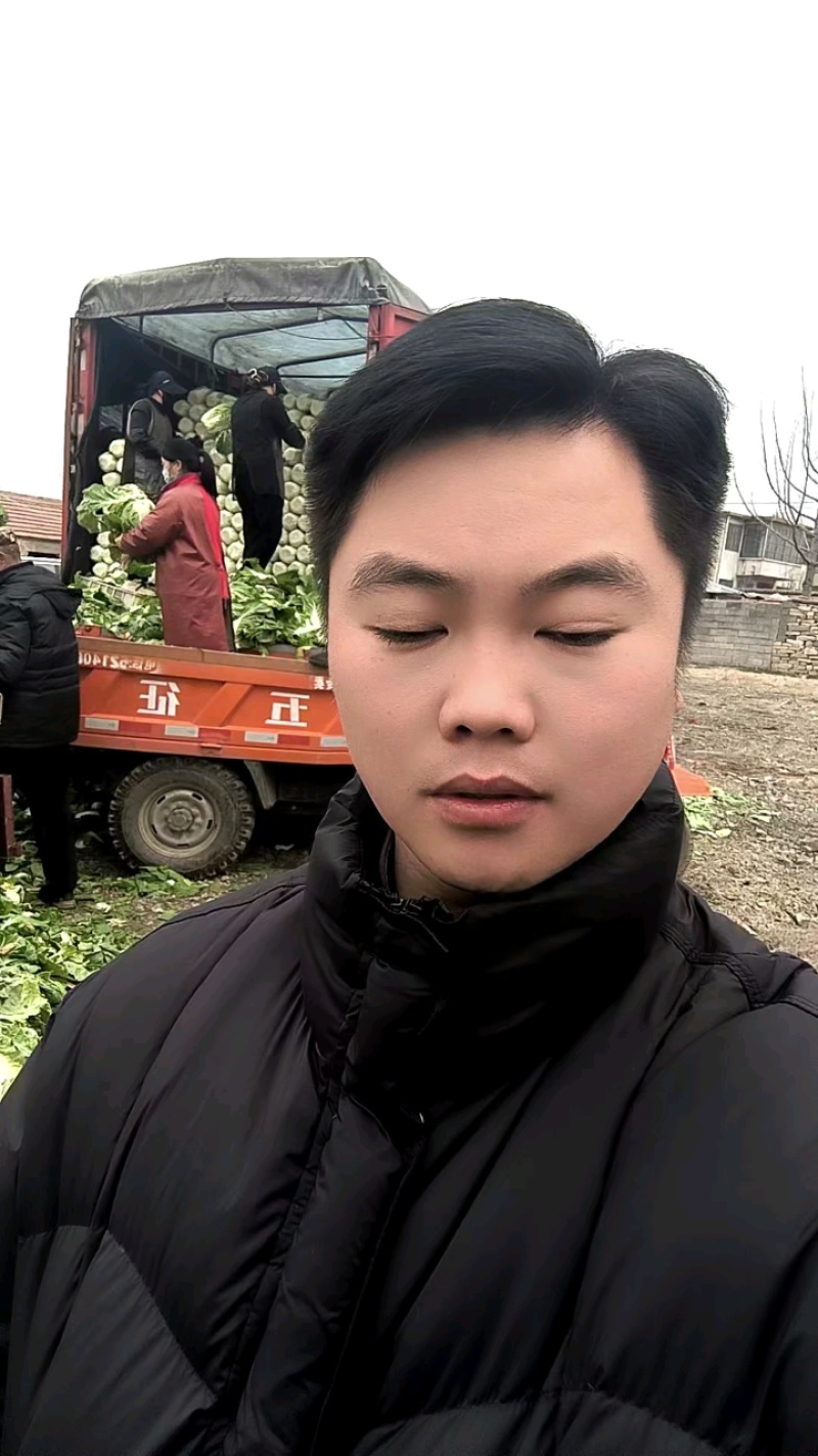 黄心大白菜，大量上市，价格不高，包质量，需要的老板联系