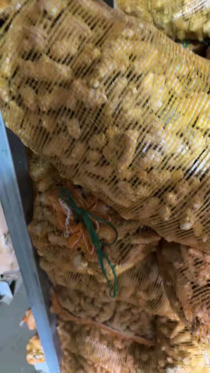 质量好小酱包，还有1000多斤现货！