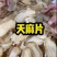 云南昭通小草坝天麻，3年林下仿野生，天麻素含量高