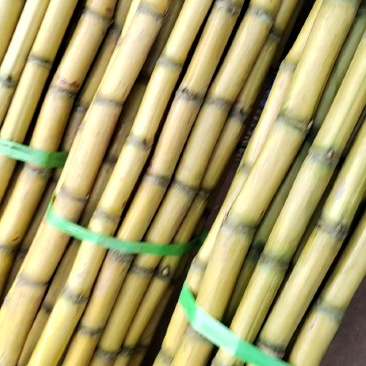 黄皮甘蔗整车到货，一块八一斤，货量充足！