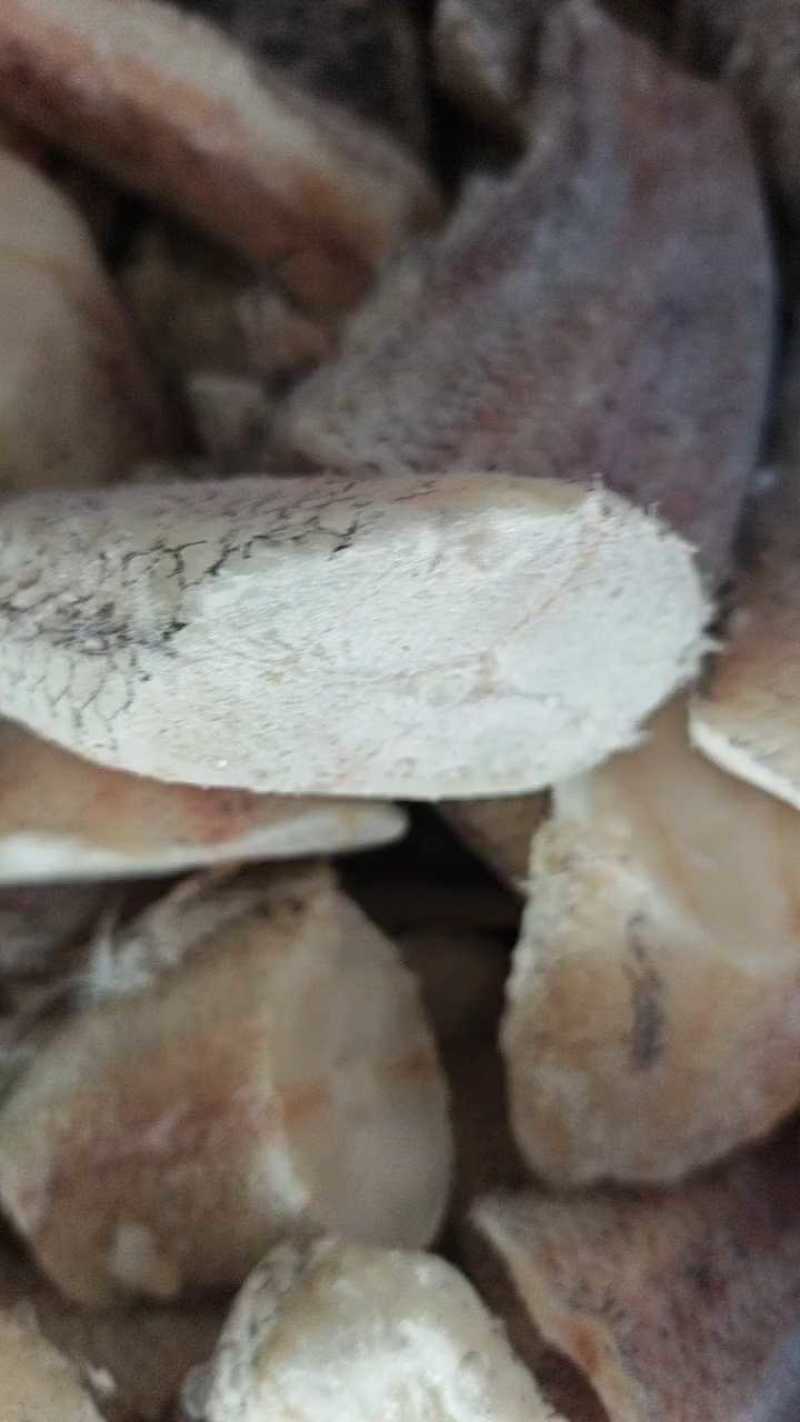 鳕鱼尾新鲜水产货，大量上，肉质鲜美，可产地视频看货
