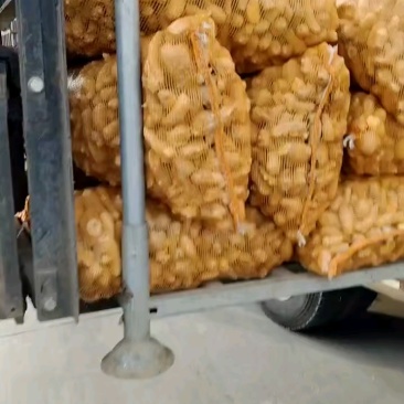质量好小酱包，还有1000多斤现货！