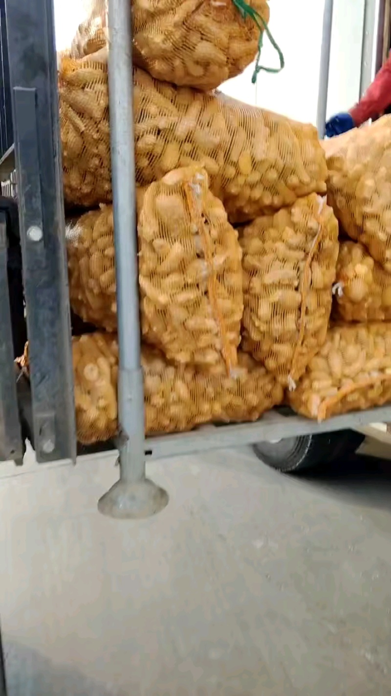 质量好小酱包，还有1000多斤现货！