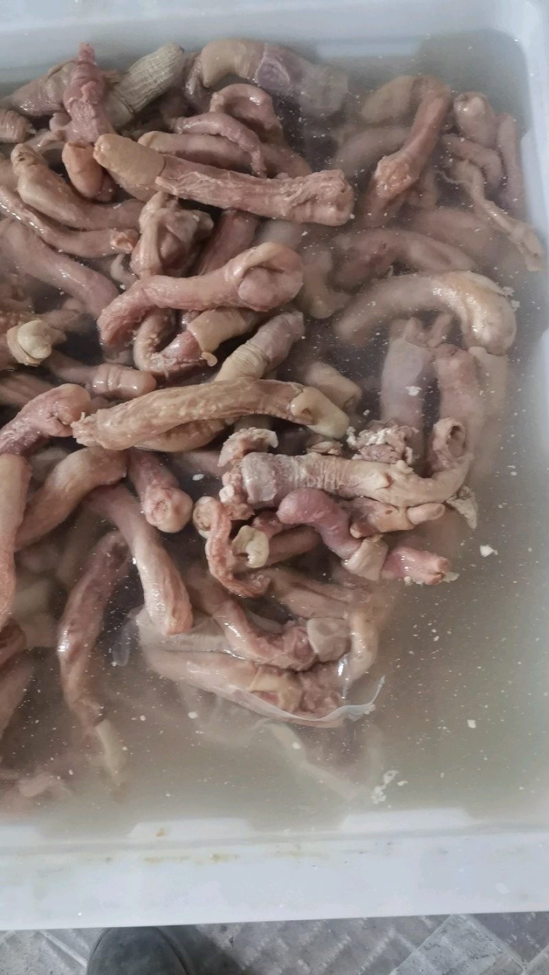 牛鞭