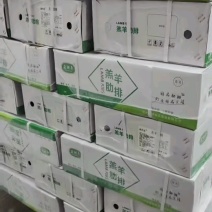 羊肋排大量到货，独立包装，质量非常好！