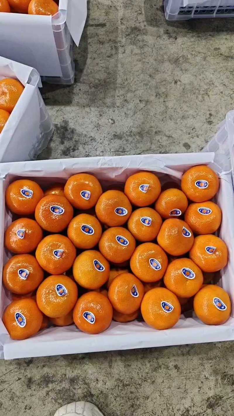重庆默科特产地大量供应，对接市场，出口