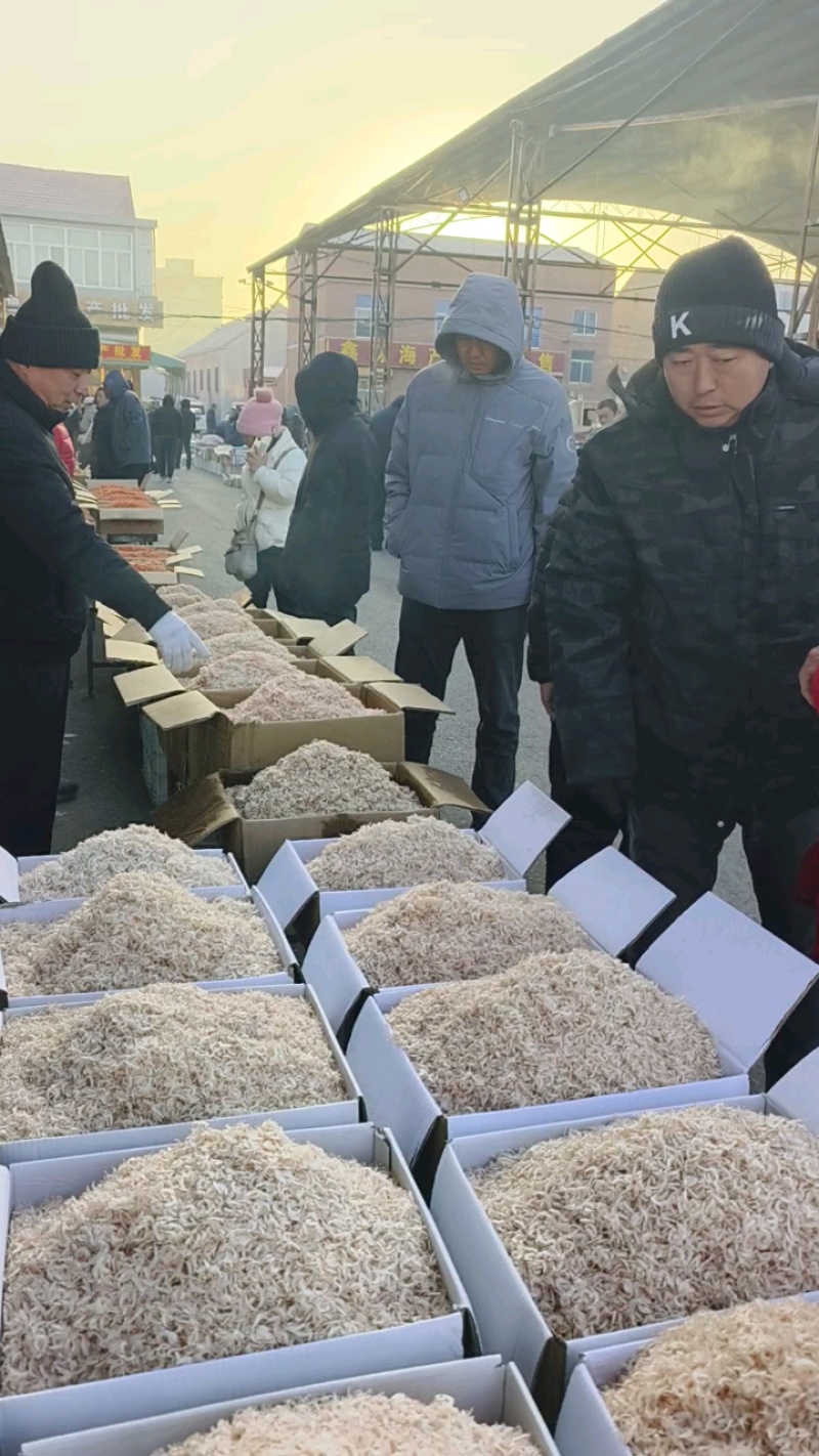 淡干无盐全干虾皮