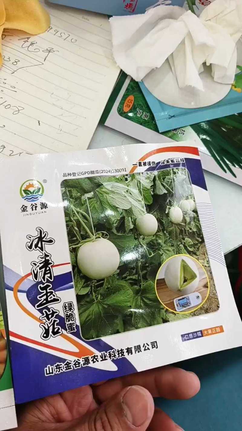 冰清玉茹（正圆型）早熟成熟果肉淡绿色肉厚腔小单瓜3.5公