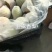 玉露香梨，河北深州，精品货