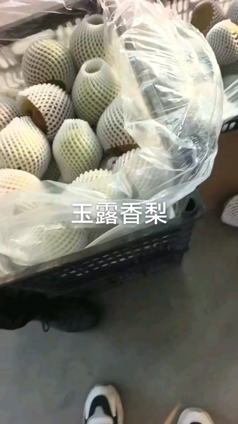 玉露香梨，河北深州，精品货