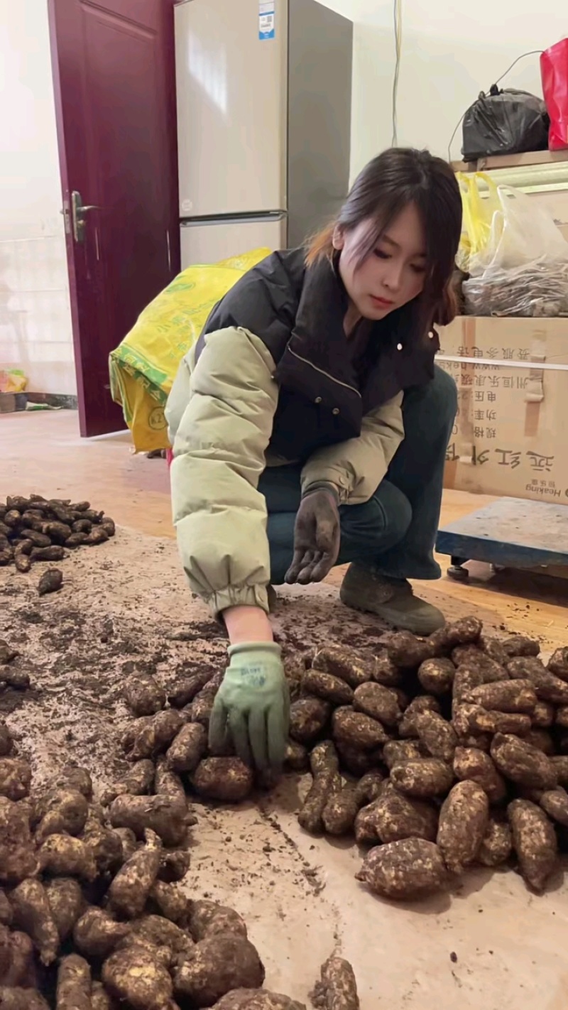 昭通正宗小草坝天麻。