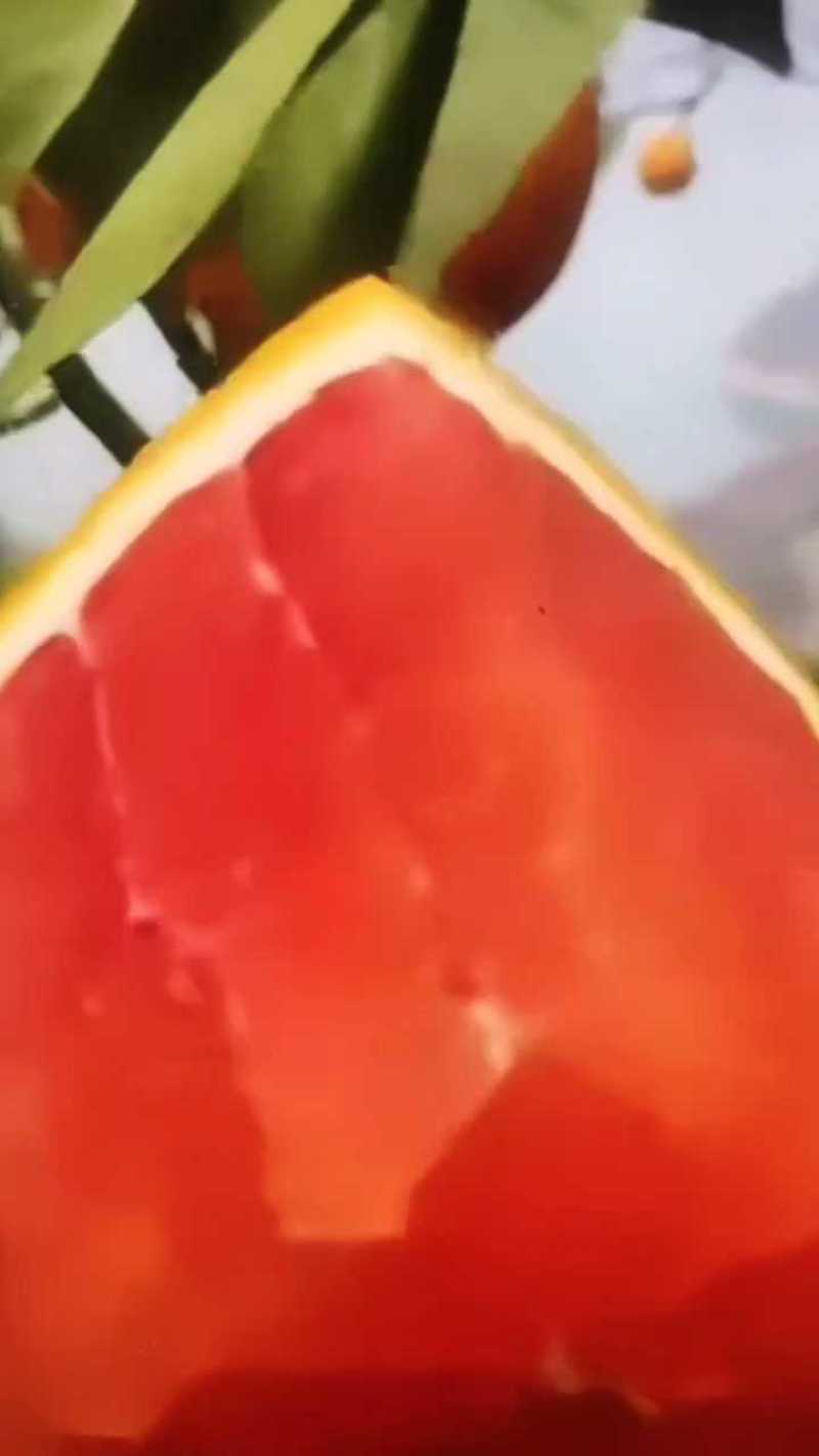 血橙，中华红血橙，塔罗科橙，口感纯甜无酸水分充足爆汁