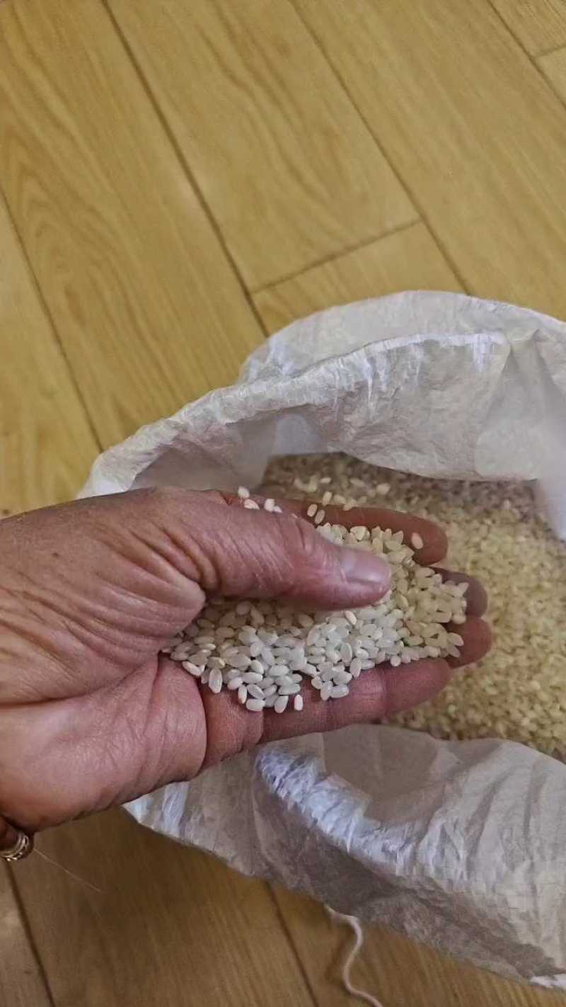江苏南通5055颗粒饱满，上车价2.3元，大量有货！
