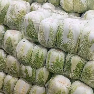 白菜，湖北黄心大白菜，大量供应，产地直发，诚信经营