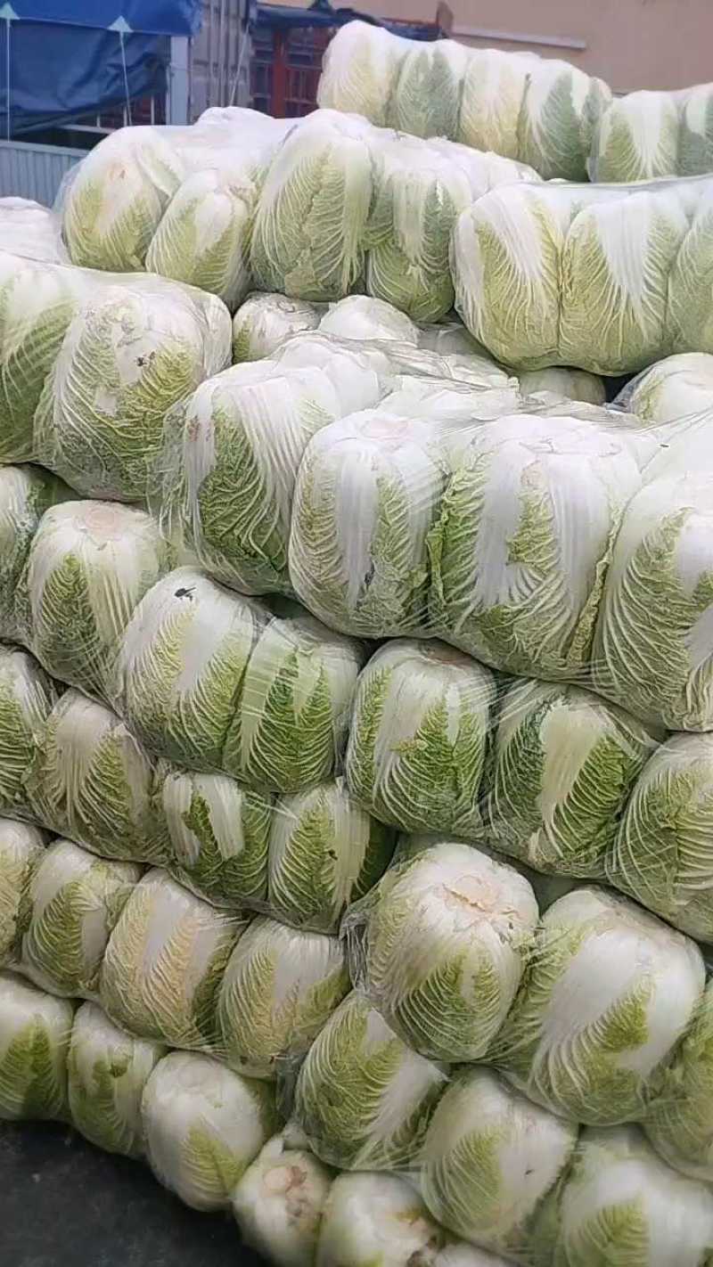 白菜，湖北黄心大白菜，大量供应，产地直发，诚信经营
