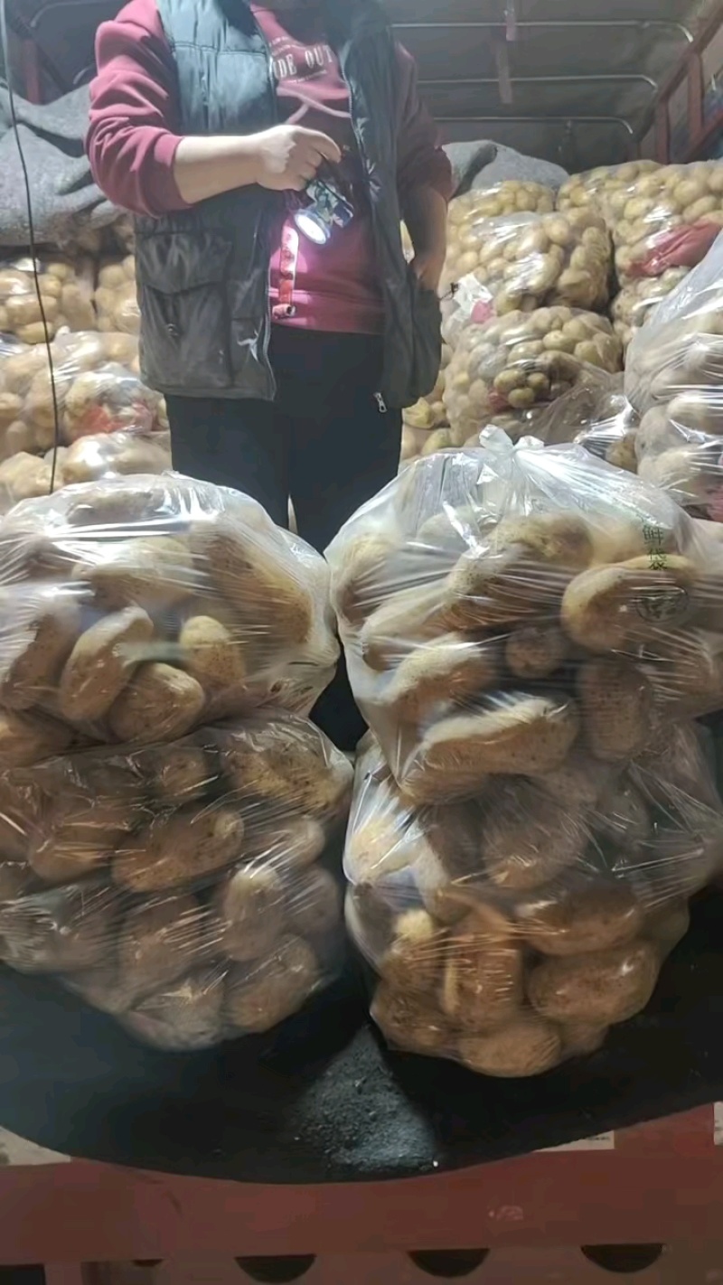 黄皮黄心土豆山东聊城全国发货可视频看货山东万亩果蔬