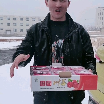 青海树莓鲜果(出口级精品礼盒包装3000米产区)