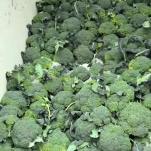 西兰花，小米粒，颜秀西兰花，万亩基地，全国代发代收
