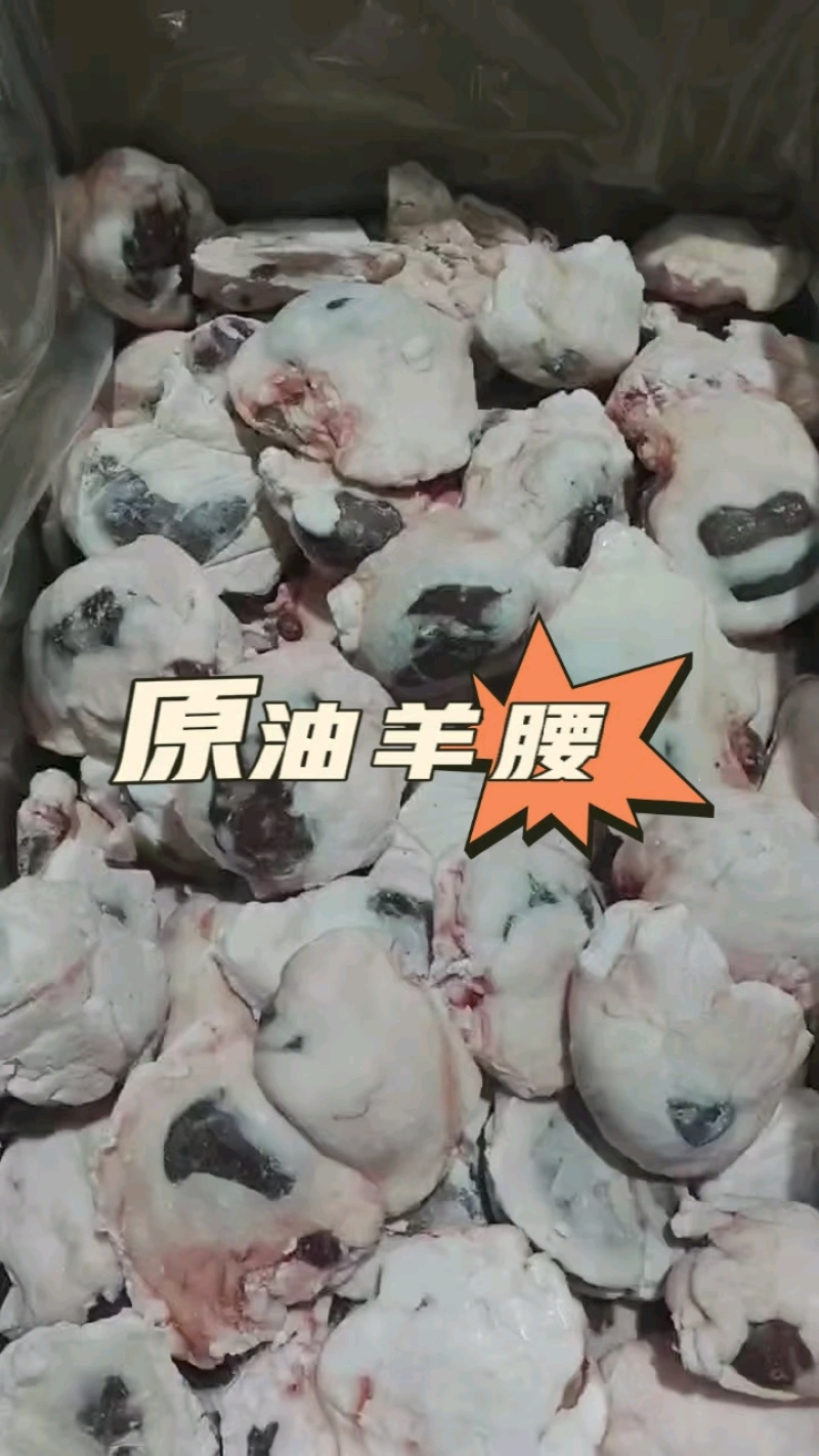 质量诚信双保障，靠谱供应商等你合作