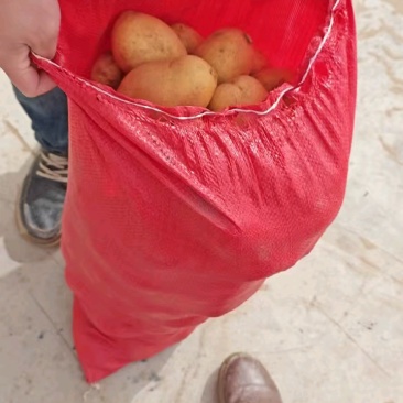 陕西沙漠土豆V7沃土陇薯七号供应市场边贸电商