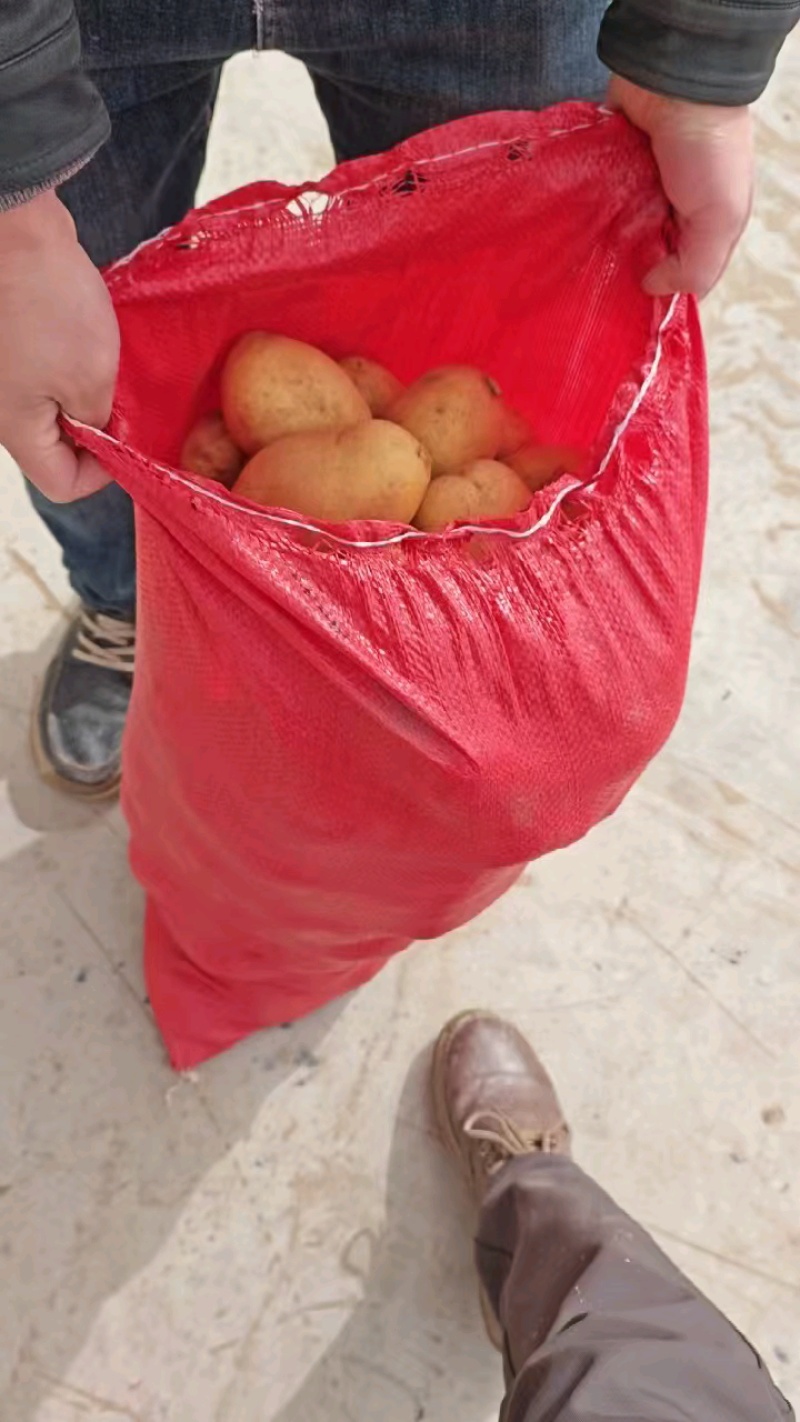 陕西沙漠土豆V7沃土陇薯七号供应市场边贸电商