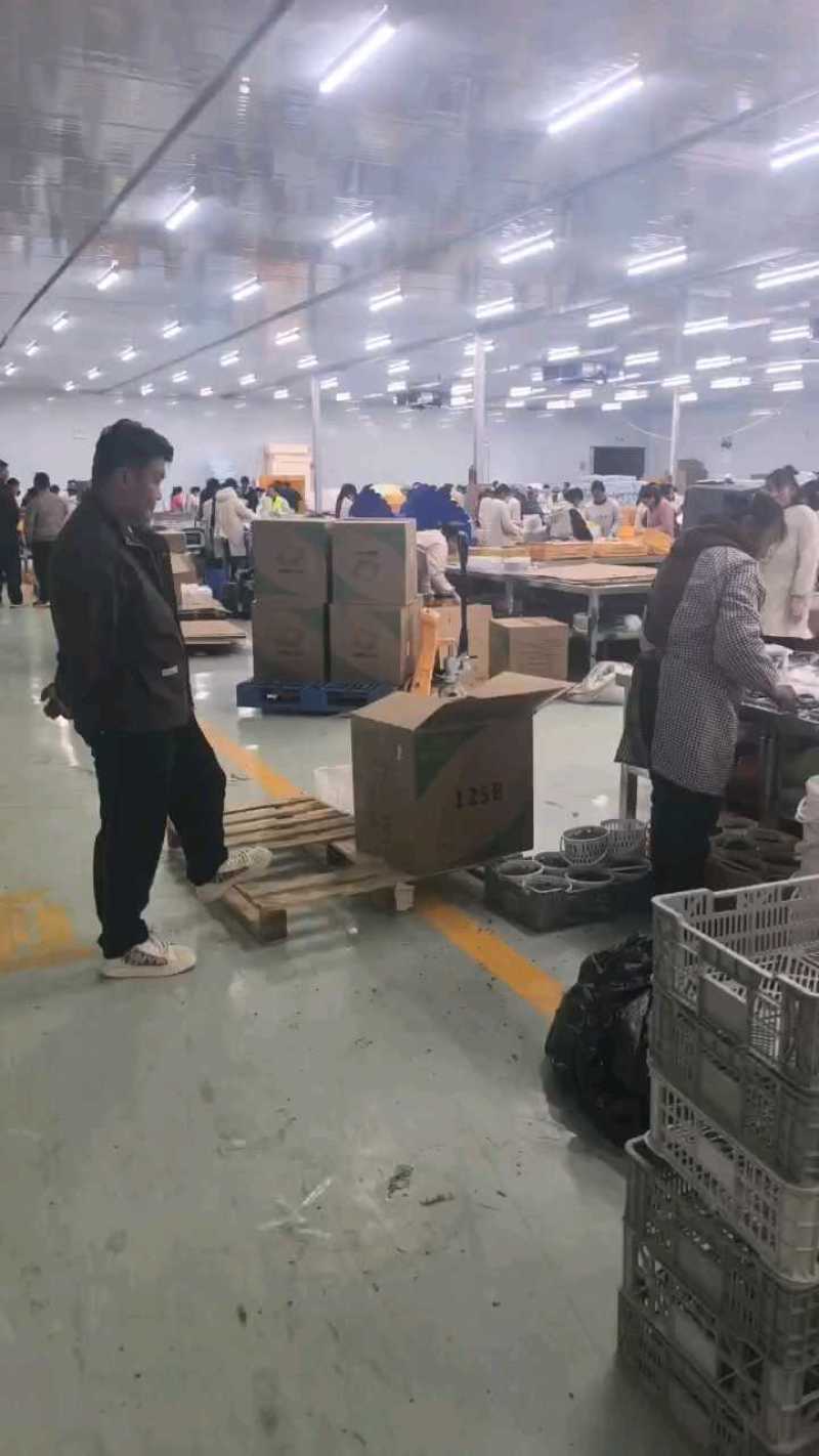 蓝莓云南蓝莓产地直发保质保量供应全国货源充足