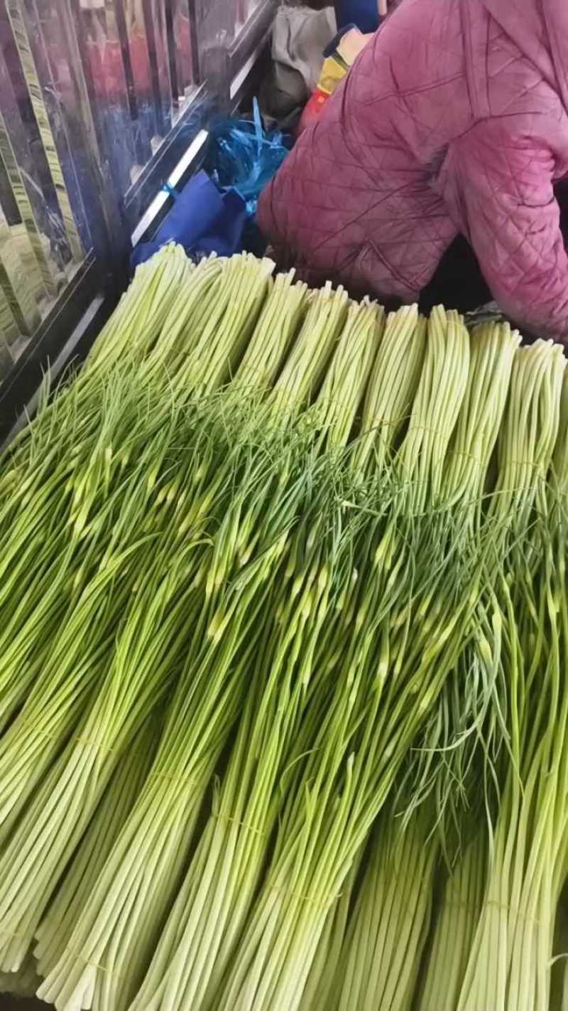 蒜苔，白帽蒜薹，产地一条龙服务，量大从优，欢迎订购