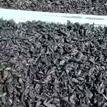 【厂家直发】九华山黄精茶九蒸九晒黄精茶品质佳无杂可零售可批